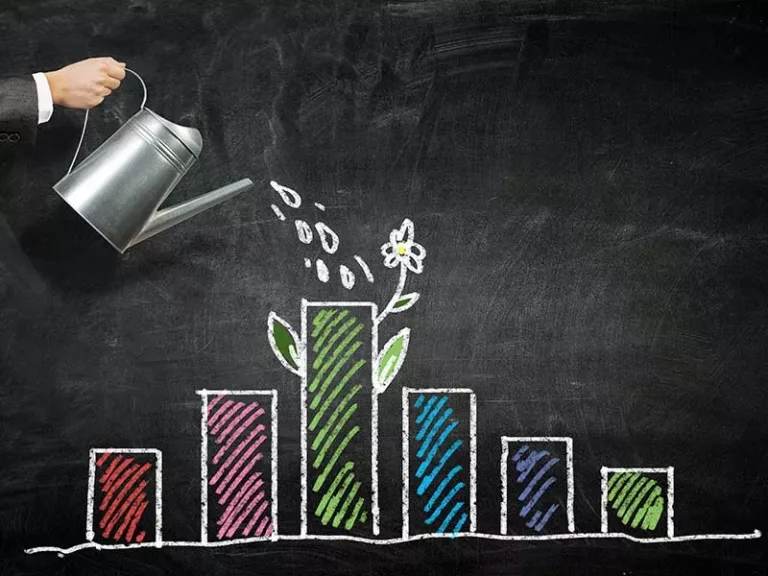 How to evaluate mutual fund performance Key metrics to consider