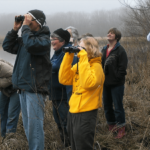 The Best Time to Visit Breiðdalsvík for Birdwatching